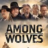 Among Wolves [2023] / MPEG2 / MKV / Blu-ray / 1080p / DTS / Subs thumb