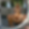 [DigitalPlayground.com] Alexis Fawx (Campground Sluts / 09.11.2015) [Amateur, Big Tits Worship, Anal Fingering, Ass Licking, Blowjob, Deep Throat, Facial, Squirt, Hardcore, 720p, HDRip] thumb