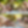 [LucasEntertainment.com] LVP264-04 Pounded Out Raw, sc.4: Diego Summers Pounds Sergyo’s Ass Raw [2017 ., Anal, Bareback, Big Dick, Blowjob, Cumshots/Facial, Cum Swapping, Hairy/Shaved, Kissing, ..., Outdoors, Rimming, Tattoos, Uncut., 1080p] thumb