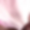 [BadDaddyPOV.com] Ashley Lane - Dirty Step Daughter Diaper Play (16.11.2019) [2019 ., All Sex, Teen, Pov,, 1080p] thumb