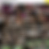 [Brasil] A Casa das Brasileirinhas - Temporada 74 /   - 74  (Gil Bendazon, Brasileirinhas.com.br) [2022 ., Anal, Big Butt, Big Dick, BTS, Deep Throat, DP, Lesbian, Brunettes, Interracial, Big Tits, Orgy, Tattooed, WEB-DL, 1080p] (Split Scenes) (Danny Power, Ravena Hanniely, Melody Antunes & Lalla Potira) thumbnail