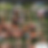 [Clubseventeen.com] Joleyn Burst (Naughty Joleyn fucking in public / 27.07.2015) [2015 ., Outdoors, Blonde, Blowjob, All sex,720p] thumb