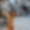 [Nude-In-Russia.com] Nude In Russia - SiteRip  2009  [Exhibitionism] [1800*1200, 10448  103 ] thumbnail