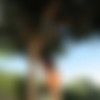 [photodromm.com] photodromm.com 2015-05 [Big Tits, Solo, Posing, Glamour, Softcore] [13312000, 686 , 15 ] thumbnail