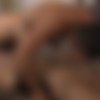 [Str8ToGay.com / Men.com] Midnight Kiss (Roman Todd, Dante Colle) [2017 ., Muscle, Blowjob, Oral, Anal, Cumshot, Kissing, Rimming, 69, Tattoo, 1080p] thumb