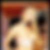 [suze.net] Suze Randall's girls 2016-01 -junuary/- [feat. Ashley Lauren, Nikki Tyler, Stacy Valentine, Lex Locklear, Justine Joli, Victoria Zdrok, Sophia Santi, Jana Cova, Silvia Saint] [16002400, 16 , 781 ] thumbnail