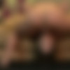 [Oralquickies.com / 21sextury.com] Sasha Grey - Quickie with Sasha Grey [1080p/10.02.2014 ., Brunette,Natural Tits,Stockings,Hard,Oral,Deep Throat,Cum In Mouth] thumbnail