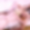 [TGirls.porn] Sarina Valentina & Sasha De Sade 4K -       4K [2017 . , Transsex , Shemale On Shemale , Bareback , Pale , Big Tits , Big Ass , Big Dick , Stockings , High Heels , 2160p , Ultra HD 4K , SiteRip] thumb