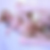 [SHIRI.XXX/ManyVids.com] Shiri Allwood & Sal Basho / Shiri Gets a Sexy Massage and Creampie [29.10.2018.,Shemale, Transsexual, Redhead, Bareback, Anal/Oral Sex, Hardcore, Cumshot,. 1080p,SiteRip] thumb