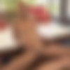 [DPFanatics.com / 21Sextury.com] Veronica Leal - Double Or Nothing (06.09.2019) [2019 ., DP, Anal, Big Cock, Blowjob, Facial, Threesome, Latina, Babes, Redhead, Natural Tits, 1080p] thumb