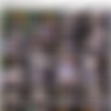 [LadyboysFuckedBareBack.com] Lisa - Ass to Mouth Cum Licker (17.03.14) [2014 ., Ladyboy, Transsexual, Hardcore, Anal, Bareback, 720p, SiteRip] thumb