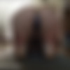 [SiriPornstar.com] Siri (Topless Yoga) [2014 ., Big Tits, Big Butt, 1080p] thumbnail