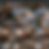 GIRLSOFHEL.com Partail Site-rip 1080p H.264 AAC.2.0 thumb