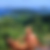 [woodmancastingx.com]     woodmancastingx.com [All Sex, Cumshots, Anal, Oral, Group Sex, Hardcore, Solo] [ 4416x3312  1200x800, 4 429   151 ] thumbnail