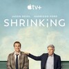 Shrinking S03E07 MULTi HDR DV 2160p WEB H265-FW thumb