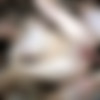 [PrivateSociety.com] Roxanne (She wants her pussy creamed / 29.01.2022) [Amateur, Brunette, Blowjob, Creampie, Doggystyle, Riding, Tattoo, Small tits, Teen, Pussy licking, Hardcore, 720p, HDRip] thumb