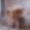 [MetArtX.com] Nikki Hill A Winter Morning 2 [Solo, Glamour, Masturbation, Toys, 1080p, HDRip] thumb