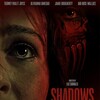 Shadows Of The Past 2025 1080p WEBRip DD+ 2 0 x265-iVy thumb