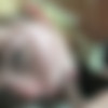 [ATKGirlfriends.com] Alina West (Hawaii 5/6) [2015 ., Oral, Blowjob, DT, Bathroom, POV, 1080p] thumb