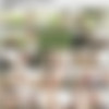 [Str8ToGay.com / Men.com] 100 Dollar Bet (Jimmy Johnson & Riley Banks) [2014 ., Muscle, Anal/Oral Sex, Big Dick, BlowJob, Tattoos, Cumshot, 720p] thumb