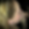[Gloryholeswallow.com] Mallory & Ashley B (1st Visit) [2013 ., GloryHole, Blowjob, Cum Swapping, Cum Swallow, All Sex 1080p] thumb