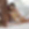 [Blacked.com] Abigail Mac, August Ames (Married Wives Love Big Black Cocks ! / 02.11.15) [2015 ., Threesome, Deep Throat, Blowjob, Ball Licking, Ass Licking, Creampie, Big Dick, IR, Hardcore, 720p] thumb