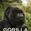 A Gorilla Story Told by David Attenborough 2026 1080p NF WEB-DL DD+ 5 1 Atmos H 264-FLUX thumb
