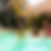 [WeLiveTogether.com] 2013-08-22 - Riley Reid, Malena Morgan & Maddy Oreilly - Pool Party [Lesbo, 1080p] thumb