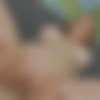 [CzechVR.com] Isabella Lui - Letter for a Cock (779) [2025-04-16, 2D, Big tits, Blowjob, Close ups, Cowgirl, Cum on Tits, Fake Boobs, German, Handjob, Hanging Boobs, Hardcore, Intimate Missionary, MILF, Titjob, 1080p, UnknownRip] thumb