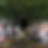 [Honnaka-VR] Haruhi Moka, Kashiwagi Konatsu, Kosui Jun, Kuramoto Sumire, Matsumoto Ichika, Misono Waka, Nijimura Yumi, Satsuki Ena, Toujou Natsu, Yayoi Mizuki - Welcome! 10 Childhood Friends Who Came Home For A Class Reunion And Decided To Matchmaking With Me! ~ A Super Harem Creampie Orgy (HNVR-158) [13.07.2025, CENSORED, Asian, Blowjob, Cowgirl, FFFFFFFFFM, Harem, Japanese, JAV, Missionary, Orgy, Reverse Gangbang, Virtual Reality, SideBySide, 8K, 4096p, SiteRip] [Rift / Quest 2 / Vive] thumb