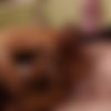 [LucasEntertainment.com] LVP350-04 Hot As Fuck, scene 4 - Cam Christou Bottoms For DK (Cam Christou, D.K.) [2020 ., Anal Sex, Bareback, Big Dick, Blowjob, Cumshots, Deep Throat, Flip-Flop, Interracial, Masturbation, Rimming, Tattoos, 1080p] thumb
