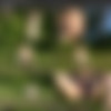 [amourangels.com] -  - 2010-08 - (18  + 3  + covers) thumbnail