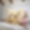 [IKnowThatGirl.com / Mofos.com] Elsa Jean, Valentina Nappi (Valentina Nappi's Teen on a Leash / 30.11.2015) [Couples Fantasies, Sex, Threesome, Deep Throat, 69, Doggystyle, Cowgirl, 720p, HDRip] thumb