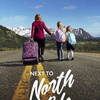 Next to North Pole [2025] / 1080p / WEB / H264 / EAC3 / Subs / MKV / playWEB thumb
