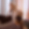[FapHouse.com] Verlonis - Sensual Creampie Sex with a Girlfriend in Stockings and Heel [2025-01-15, Amateur, Blowjob, Cowgirl, Doggy, Hardcore, Lingerie, Posing, Straight, 2160p, SiteRip] thumb