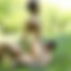 [CockyBoys.com] Summer Sex with Calvin, Dillon and Taylor! (Calvin Banks, Dillon Rossi, Taylor Reign (ex/aka Alex Vaara)) [2017, Anal Sex, Big Dicks, Blowjob, Cumshots, Fingering, Flip-Flop, ..., Outdoors/Indoors, Rimming, Tattoos, Threesome, 720p] thumb