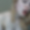 Lili4676karl78 2019-03-29 [2019 ., Doggystyle,Facial, WebCam] thumb