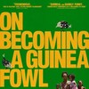 On Becoming a Guinea Fowl 2024 1080p WEB h264-GRACE thumb