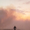 Reedland [2025] / 1080p / WEB / H264 / EAC3 / Scene / Dutch / MKV / ADRENALiNE thumb