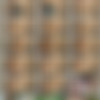 [OMGBigBoobs.com] JJ Jewel thumbnail