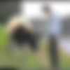 The Horse /  ( , -) [1995 ., oral, anal, masturbation, russian teens, VHSRip] thumb