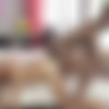 [Staxus.com] Too Big To Fail, Sc.4: Cock-Crazed Beauty Gets His Arse Fucked To The Moon & Black! (Lucas Drake, Marcus Campbell) [2017 ., Blowjob, Anal, Bareback, Big Dick, Rimming, Riding, Interracial, Black, Facial Cumshot, Twinks, 720p] thumb