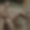 [DrillMyHole.com / Men.com] Criminal Lovers Part 2 (Theo Ford, Tony Milan) [2015 ., Anal/Oral Sex, Cumshots, Muscles, Tattoos, Big Dick, Rimming, Fingering, Piercing, 720p] thumb