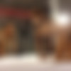 [LadyboyVice.com] Citrus / BDSM Sex (17 Jul 2019) [2019 ., Shemale, Anal, Hardcore, Asian, Ladyboy, Gag, Bondage, POV, 1080p, SiteRip] thumb