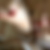 [ATKGirlfriends.com] Ember Stone (Las Vegas 4/4) [2015 ., Creampie, Blowjob, Footjob, Orgasm, Red Head, POV, All Sex, 1080p] thumb