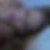 [WakeUpNFuck.com / PierreWoodman.com] Carter Cruise (WUNF 156 / 13.05.2015) [2015 ., Hardcore, Anal, Deep Throat, Blowjob, Ball Licking, Ass Licking, Facial, Ass Fingering, Head Flushing, Peeing, Foot Licking, Foot Sucking, Hairy Pussy, 720p] thumb