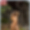 [photodromm.com] photodromm.com 2017-12 [Big Tits, Solo, Posing, Glamour, Softcore] [2000x3000, 733 , 16 ] thumbnail