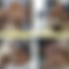 [CorbinFisher.com] ACM1298 Cameron Rides Chandler [2013 ., Anal, Bareback, Blowjob, Cumshots, Kissing, Muscles, Masturbation, Rimmimg, Creampie, 720p] thumb