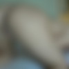 [ATKGirlfriends.com] Marley Matthews (Hawaii 2/7) [2015 ., Creampie, Blowjob, Footjob, Orgasm, Masturbation, POV, All Sex, 1080p] thumb