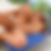 [AssTraffic.com / PerfectGonzo.com] Amirah Adara [19.07.2015, Brown Haired, Natural Tits, Dildo, Oral, Hardcore, Anal, Facial, 1080p] thumb